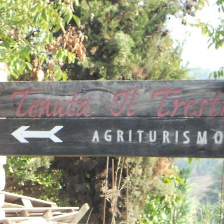 Tenuta Il Tresto Poggibonsi Kültér fotó