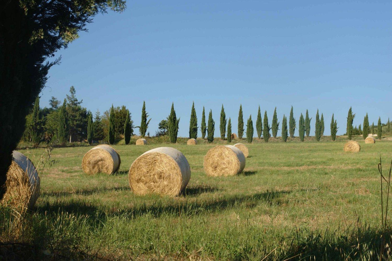Tenuta Il Tresto Poggibonsi Kültér fotó