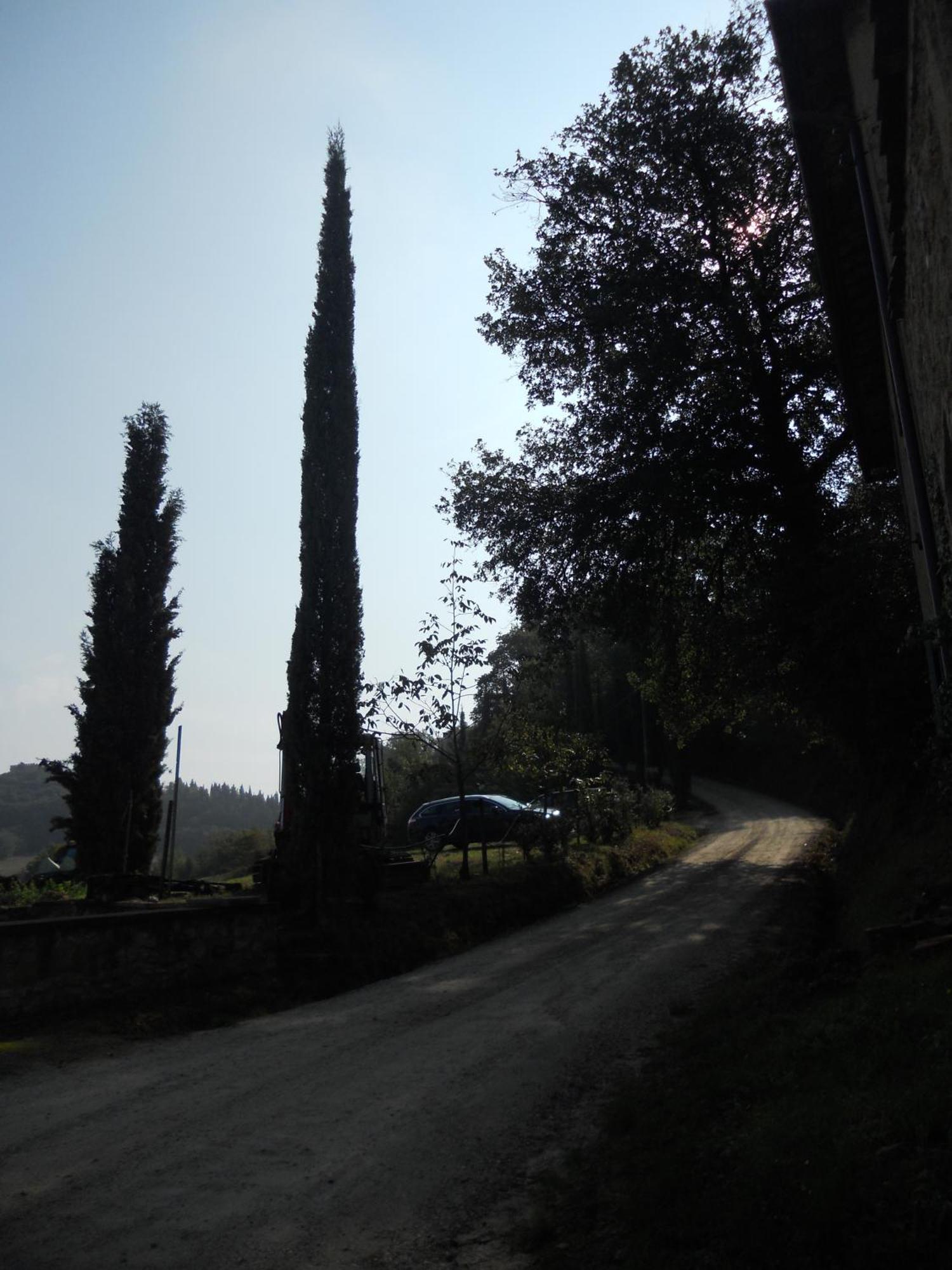 Tenuta Il Tresto Poggibonsi Kültér fotó