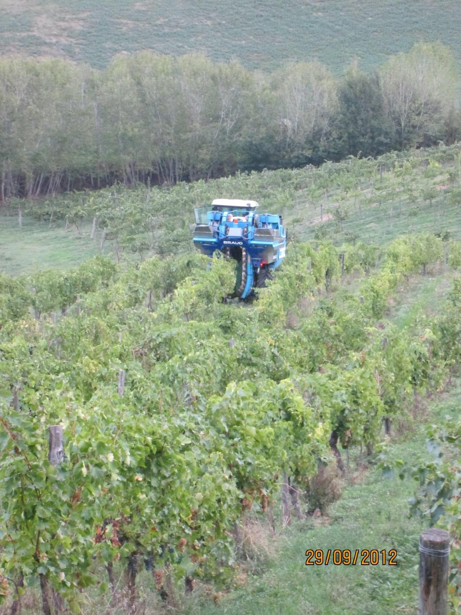 Tenuta Il Tresto Poggibonsi Kültér fotó