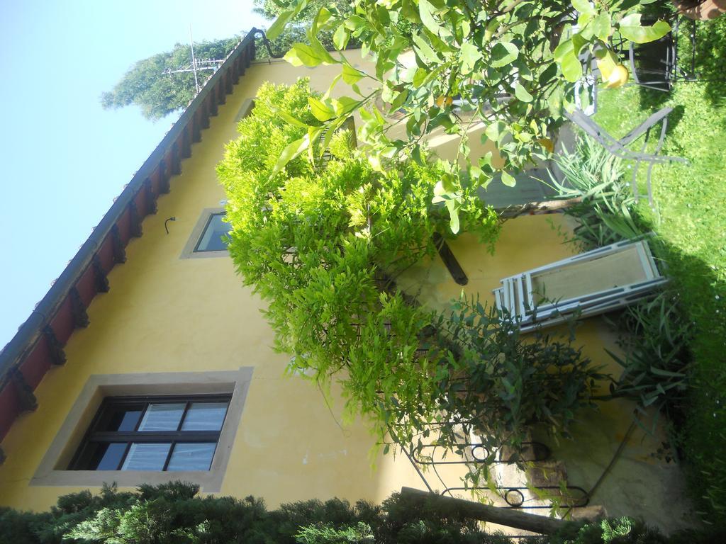 Tenuta Il Tresto Poggibonsi Kültér fotó