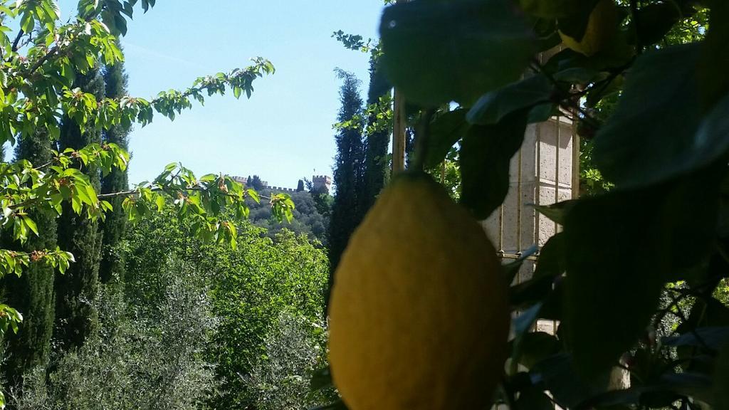Tenuta Il Tresto Poggibonsi Kültér fotó