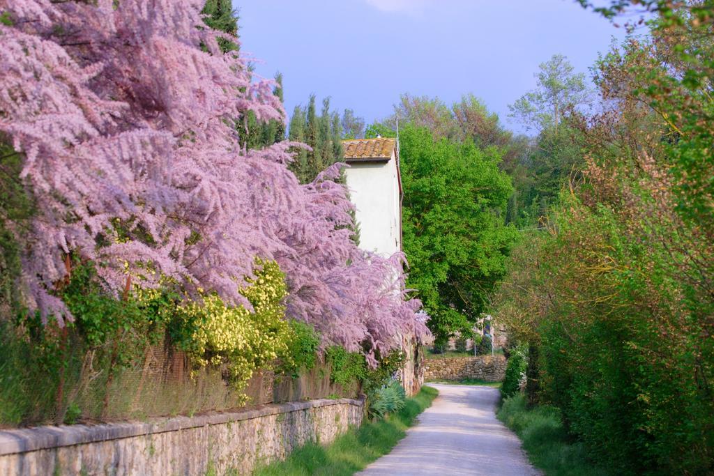 Tenuta Il Tresto Poggibonsi Kültér fotó