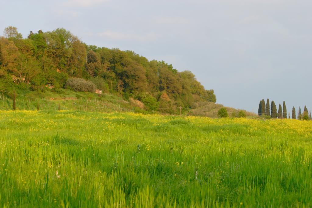 Tenuta Il Tresto Poggibonsi Kültér fotó